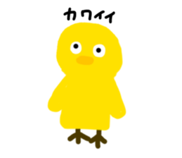 637007630