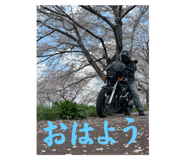637011296