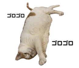637011647
