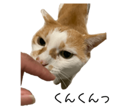637011648