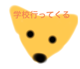 637040571