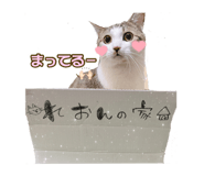 637074774
