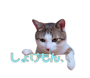 637074783