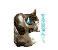 637074785