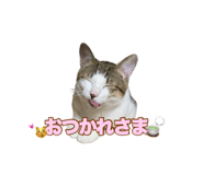 637074786