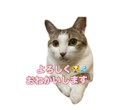 637074789