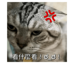 637082135