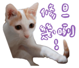 637090814