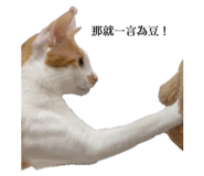 637098169
