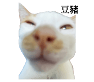 637098174