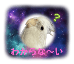637115631