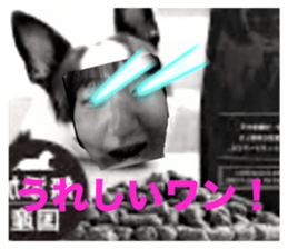 637136549