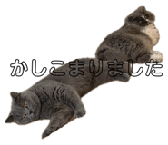 637149652