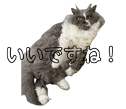 637149656