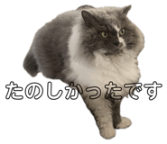 637149658