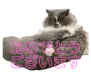 637149669