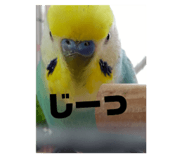 637161949