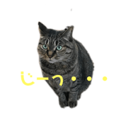 637170089