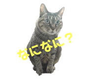 637170090