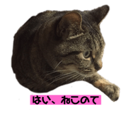 637170092