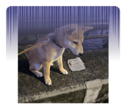 637171066