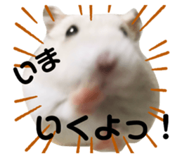 637172407