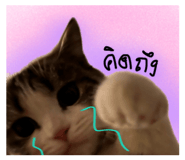 637197123