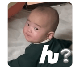 637260236