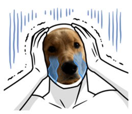 637282135