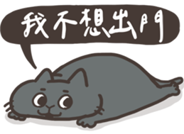 637288446