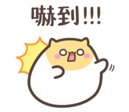 637312259