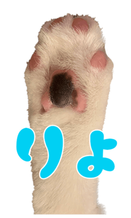 637322460