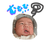 637325004