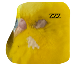 637325735