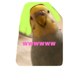 637325747