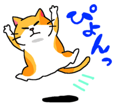 6373294