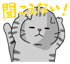 6373305