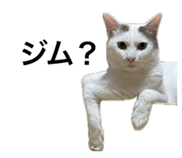 637380194