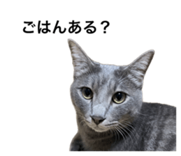 637380196
