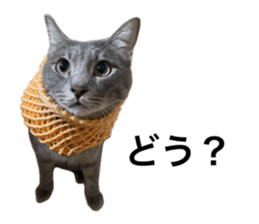 637380202