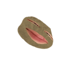 637390240