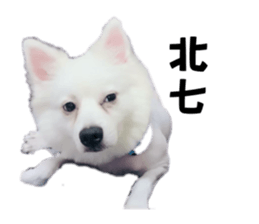637420365