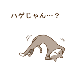 6374428