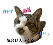 637457866