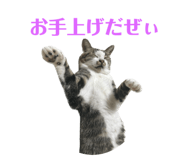 637457869