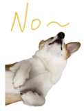 637497432