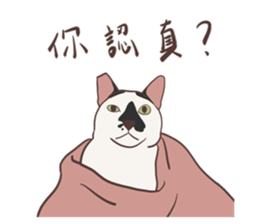 637510499