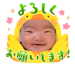 637512812