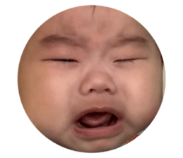 637531398