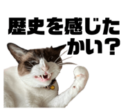 637534647